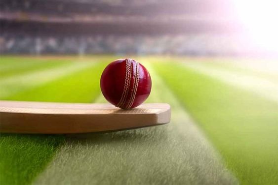 Cricket ID Demystified: Your Gateway to the Game